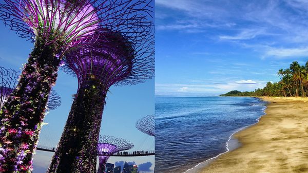 Multi-Trip: Cheap flights from Chennai to Singapore & Fiji from ₹41345 ($634)